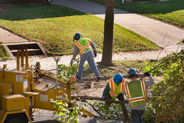 Best Lawn Mowing Services  in Hartford, IL